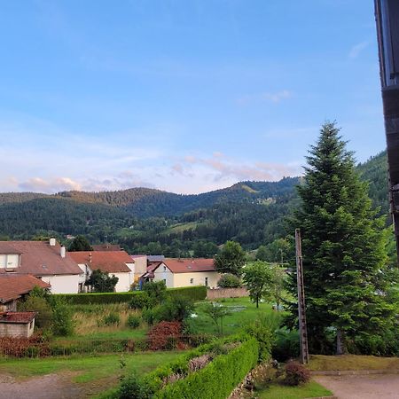 Appartement Chaleureux Au Coeur Des Hautes Vosges Ventron Exteriér fotografie