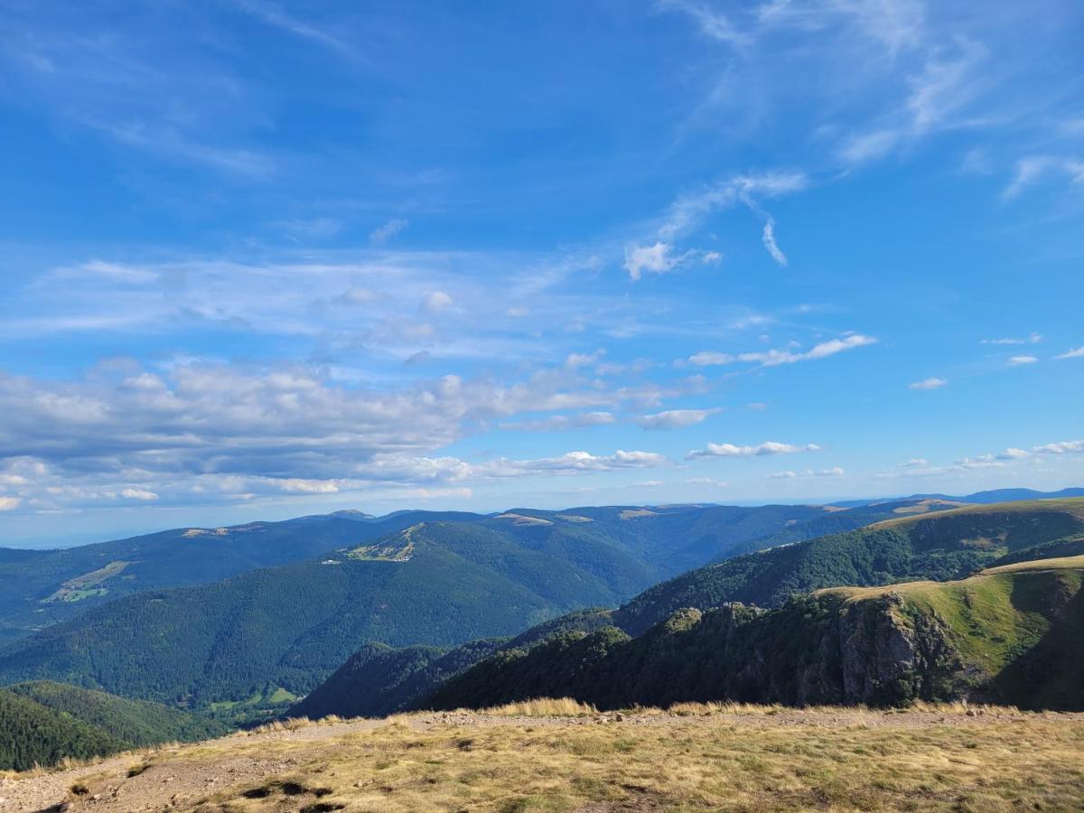 Appartement Chaleureux Au Coeur Des Hautes Vosges Ventron Exteriér fotografie