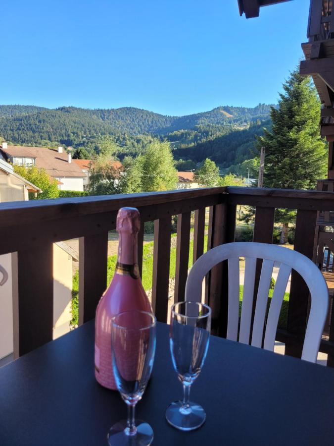 Appartement Chaleureux Au Coeur Des Hautes Vosges Ventron Exteriér fotografie