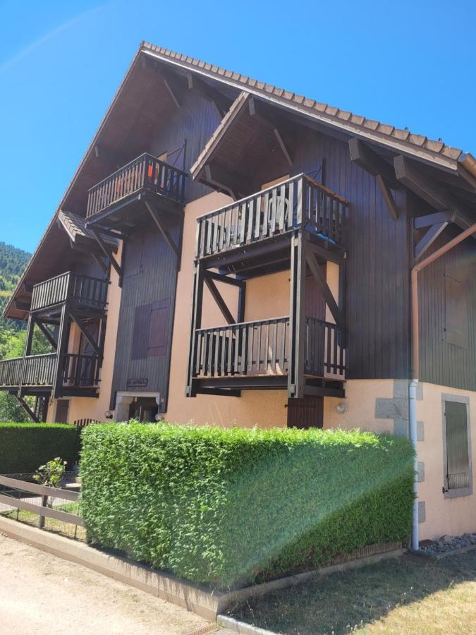 Appartement Chaleureux Au Coeur Des Hautes Vosges Ventron Exteriér fotografie
