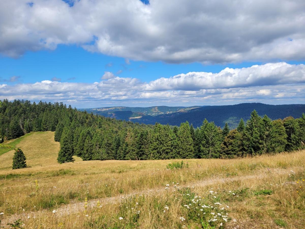 Appartement Chaleureux Au Coeur Des Hautes Vosges Ventron Exteriér fotografie