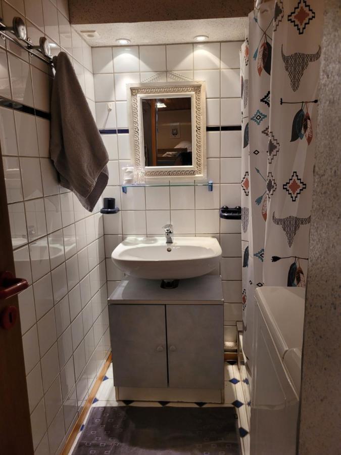 Appartement Chaleureux Au Coeur Des Hautes Vosges Ventron Exteriér fotografie