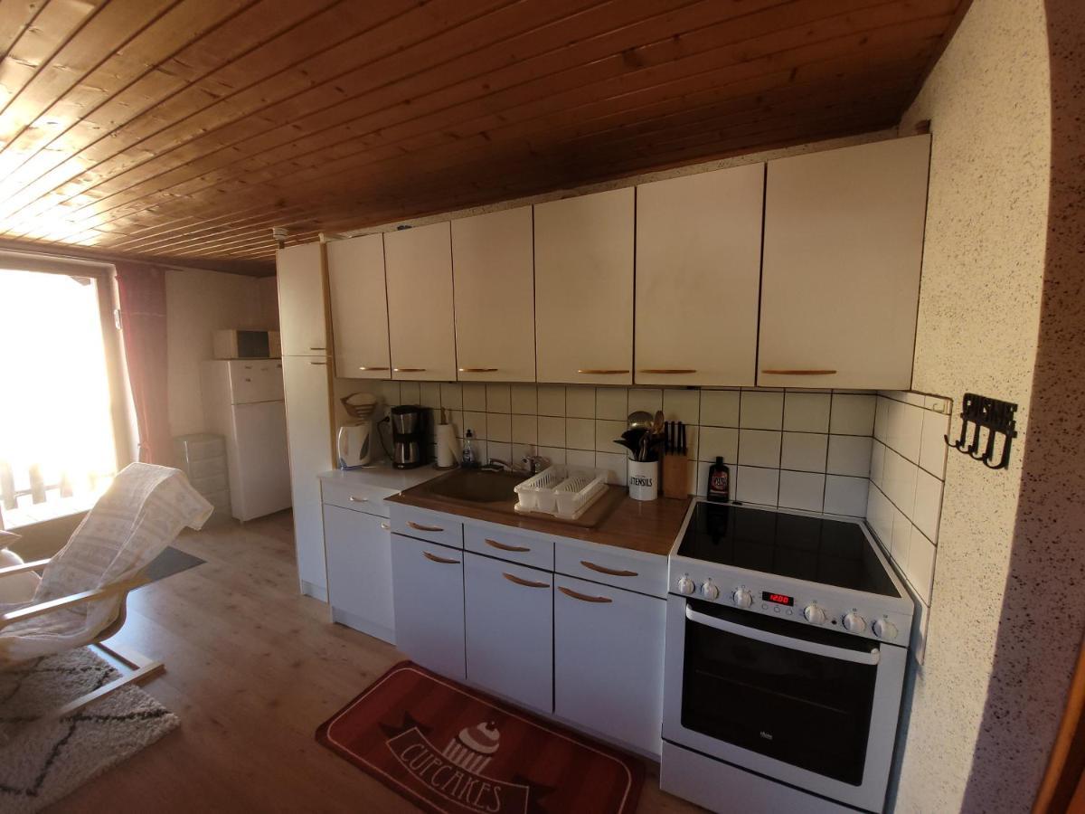 Appartement Chaleureux Au Coeur Des Hautes Vosges Ventron Exteriér fotografie