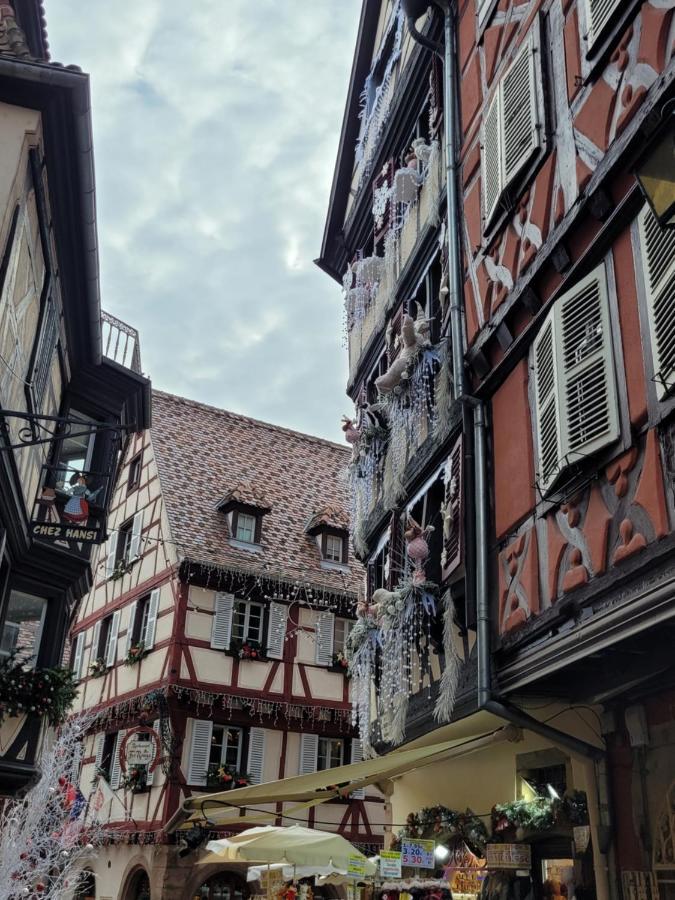 Appartement Chaleureux Au Coeur Des Hautes Vosges Ventron Exteriér fotografie