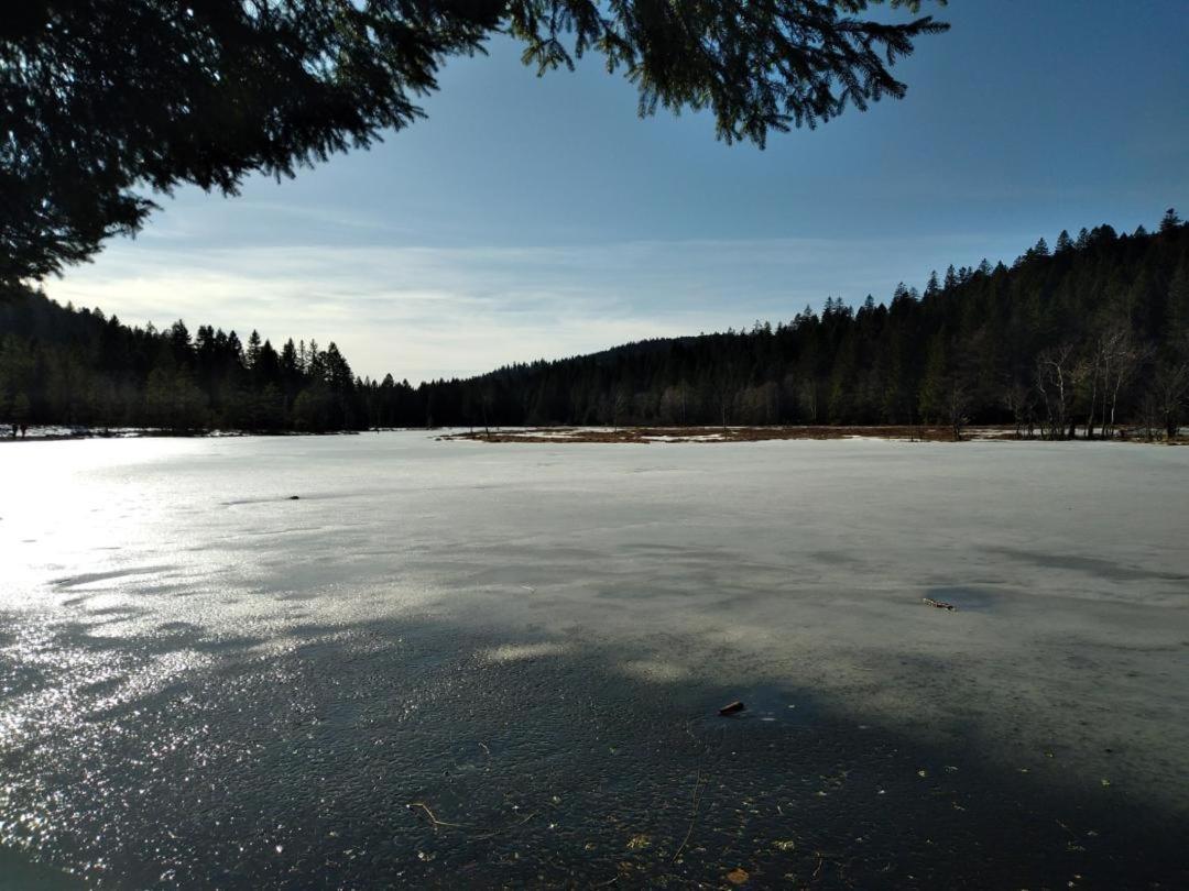 Appartement Chaleureux Au Coeur Des Hautes Vosges Ventron Exteriér fotografie