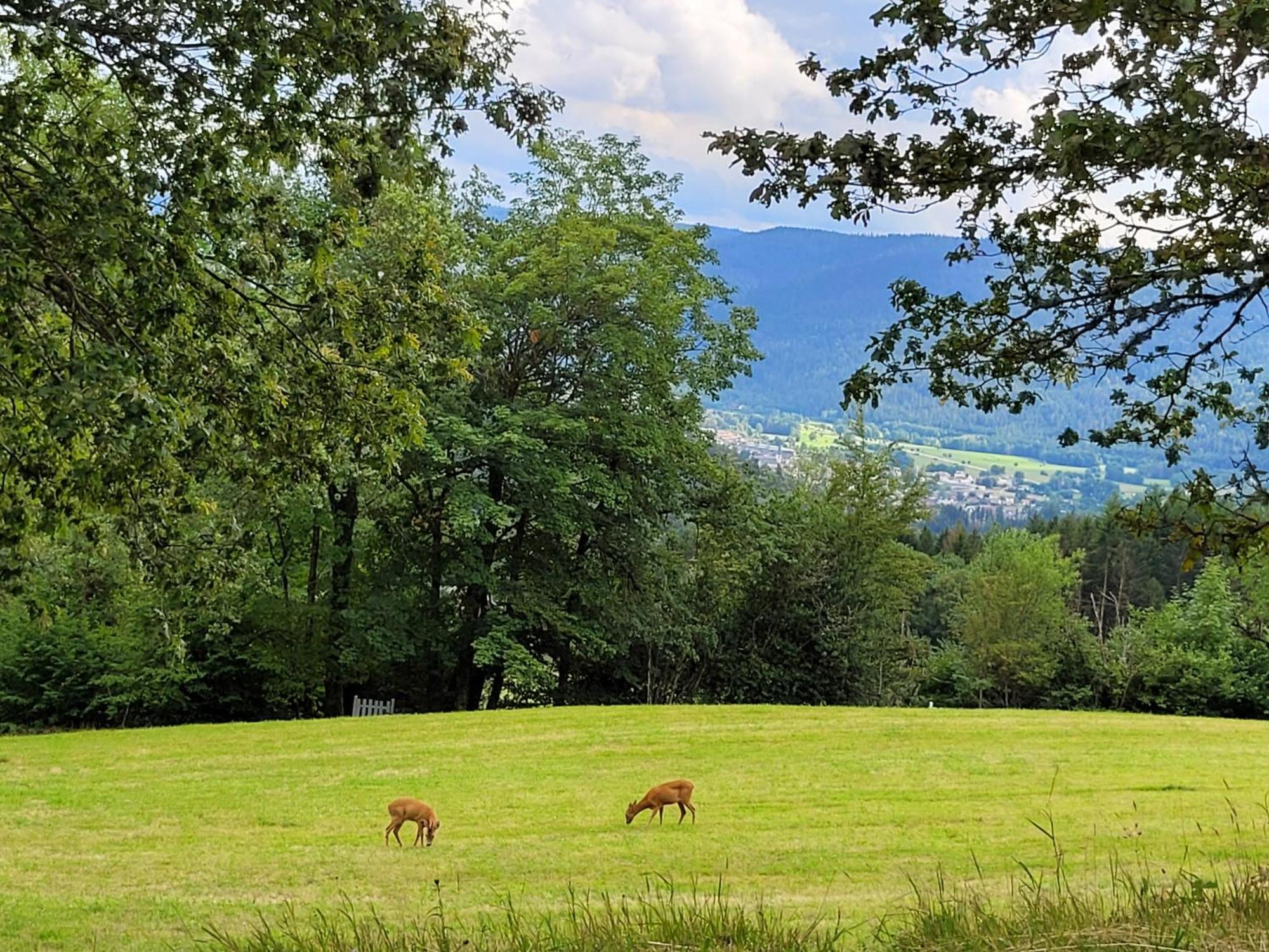 Appartement Chaleureux Au Coeur Des Hautes Vosges Ventron Exteriér fotografie